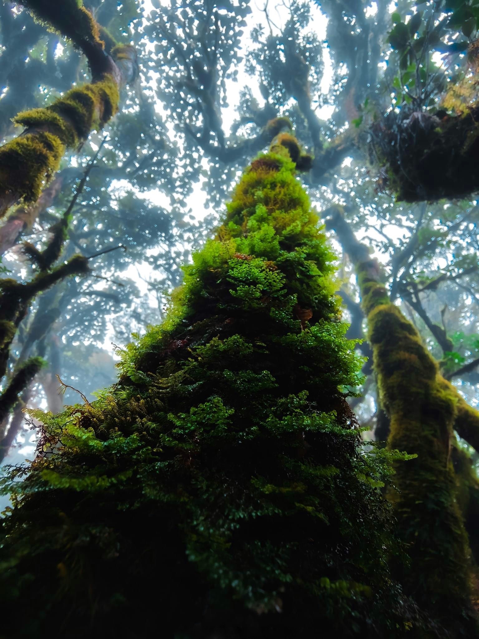 du lich ben vung anh 3