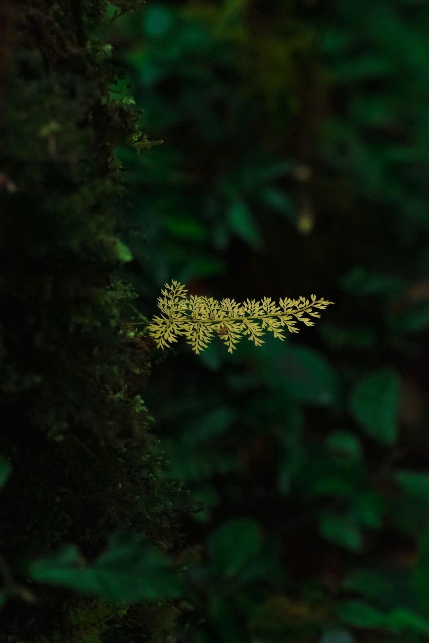 du lich ben vung anh 11