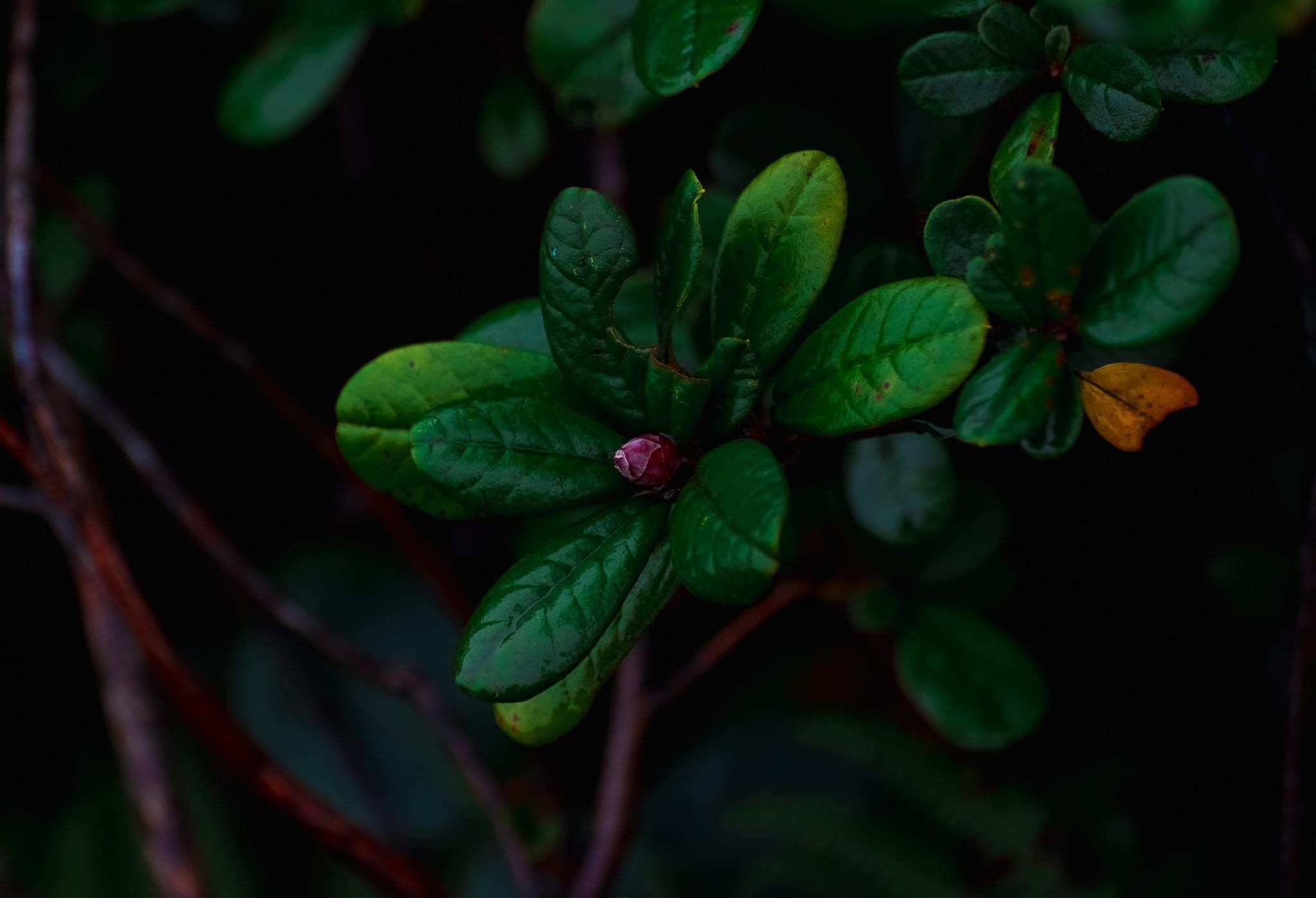 du lich ben vung anh 10