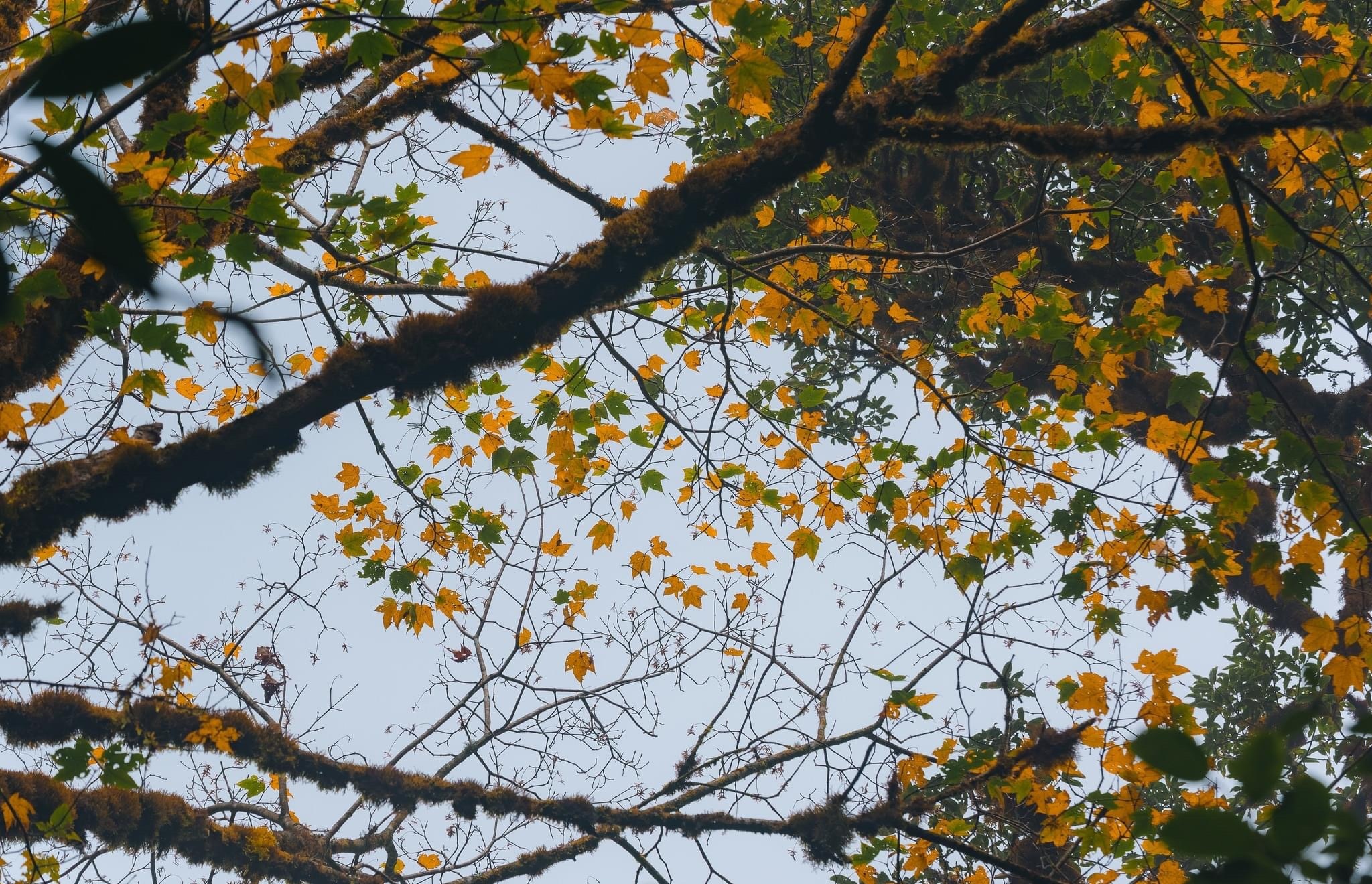 du lich ben vung anh 15