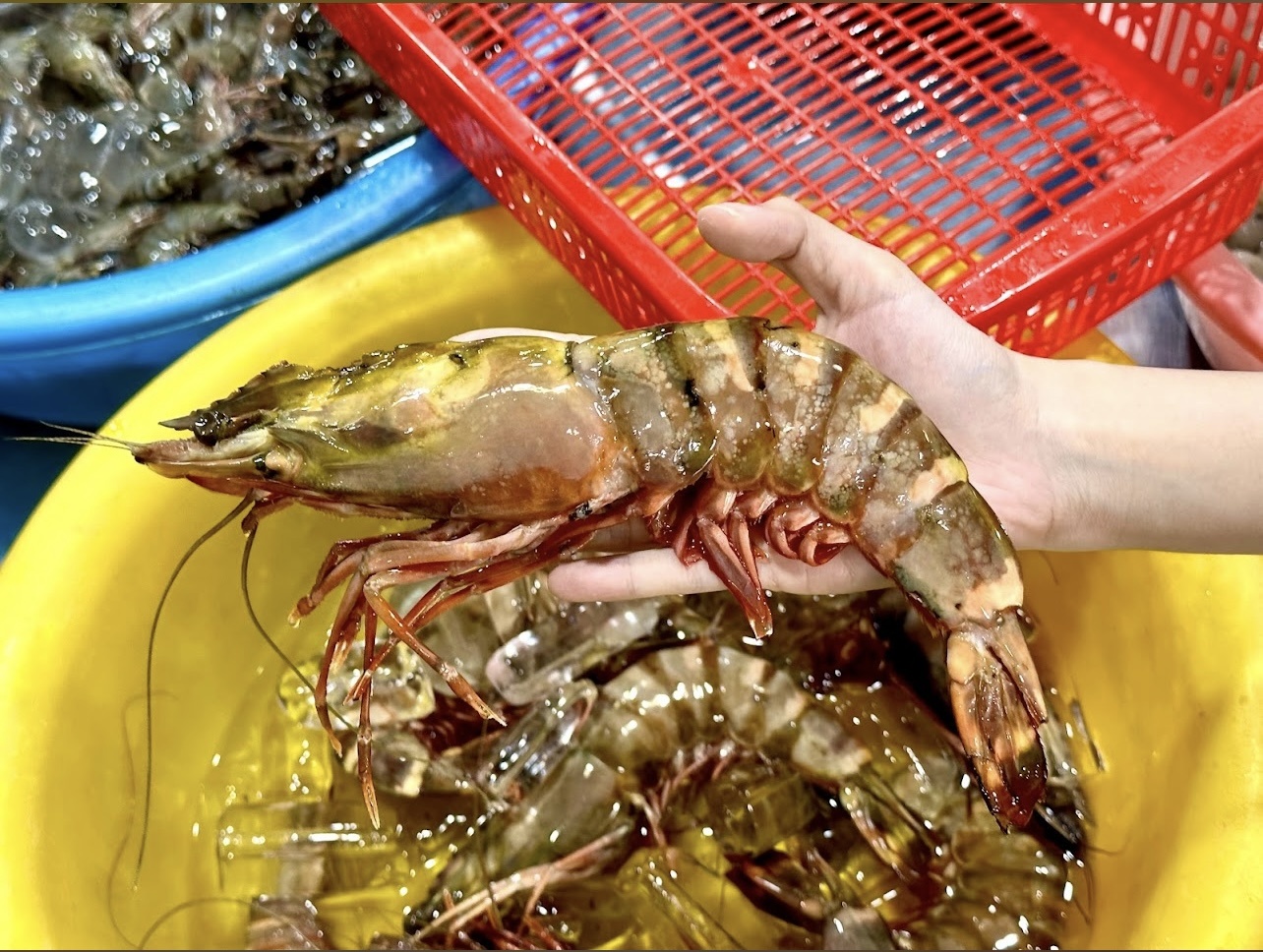 An gi ngon o Phu Quoc khi 'di du' Maroon 5? hinh anh