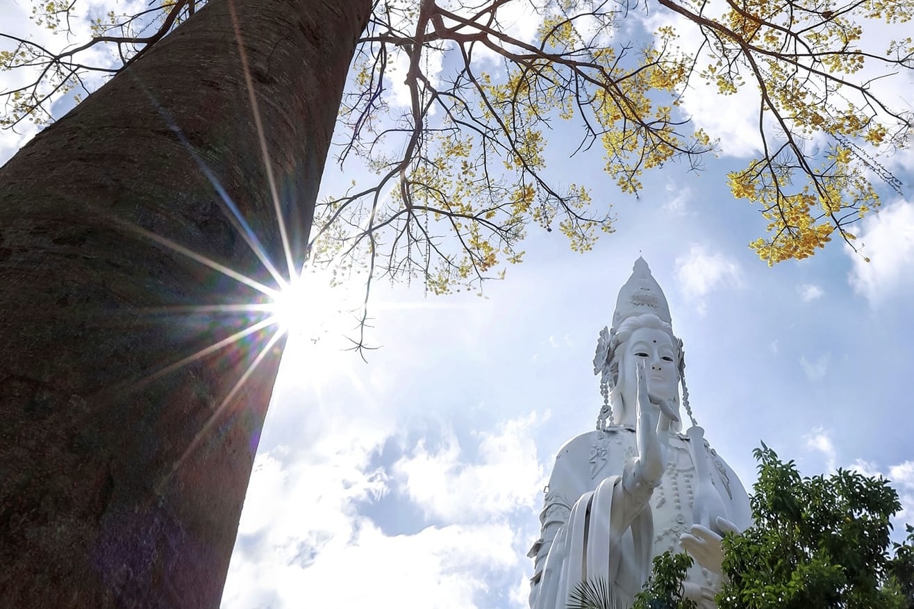 Phuong vang khoe sac ben buc tuong Quan The Am cao nhat Viet Nam hinh anh