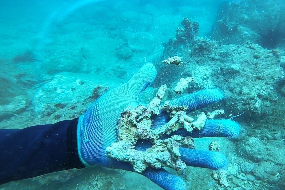 San ho vinh Nha Trang dang hoi sinh hinh anh