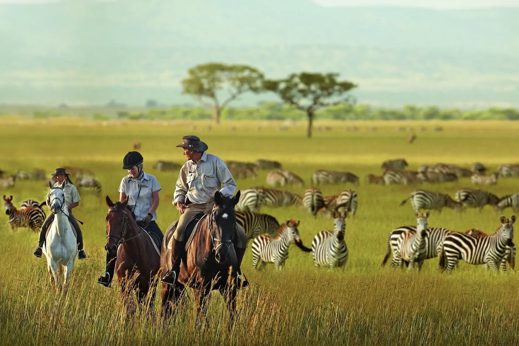 7 kieu du lich 'chat' nhat nam 2024 hinh anh