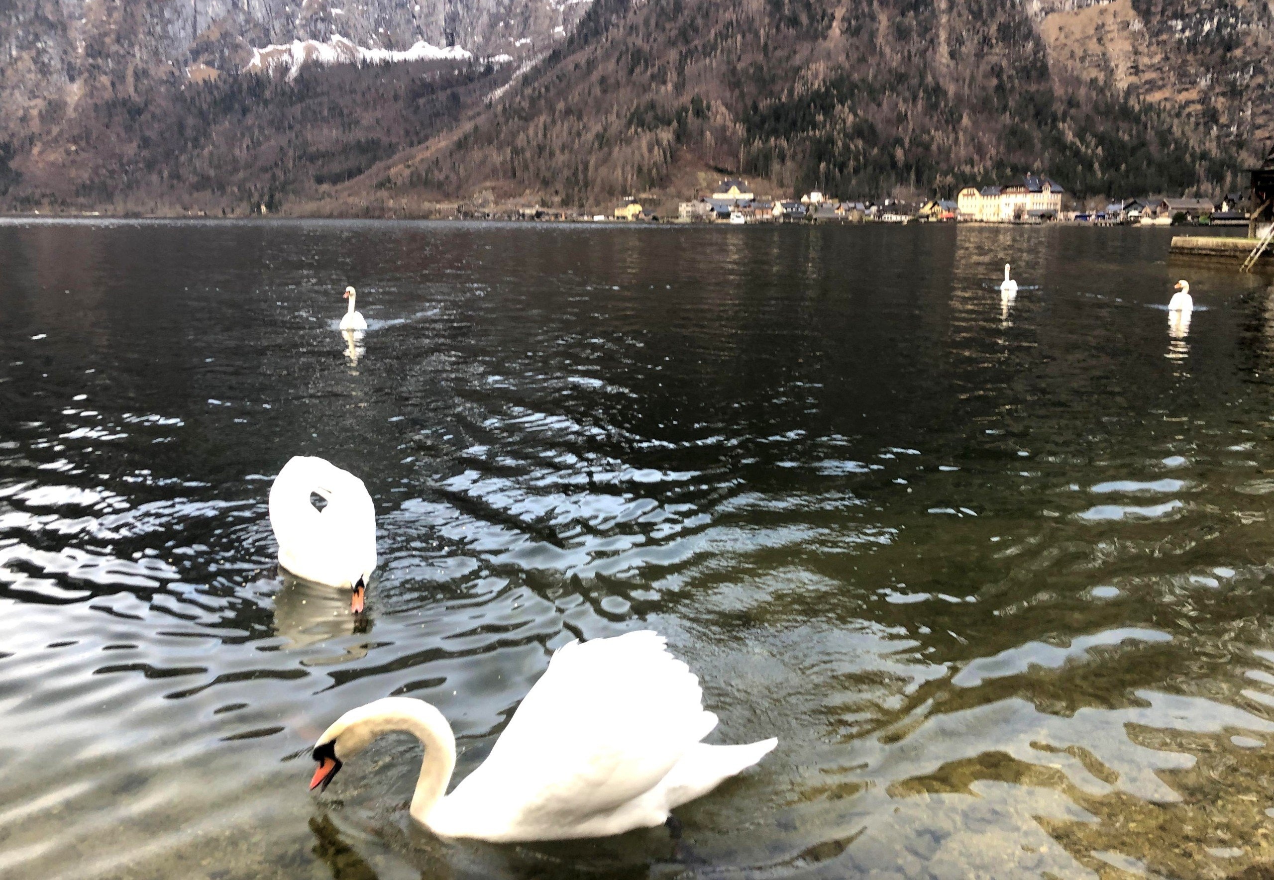 Thi tran Hallstatt anh 6