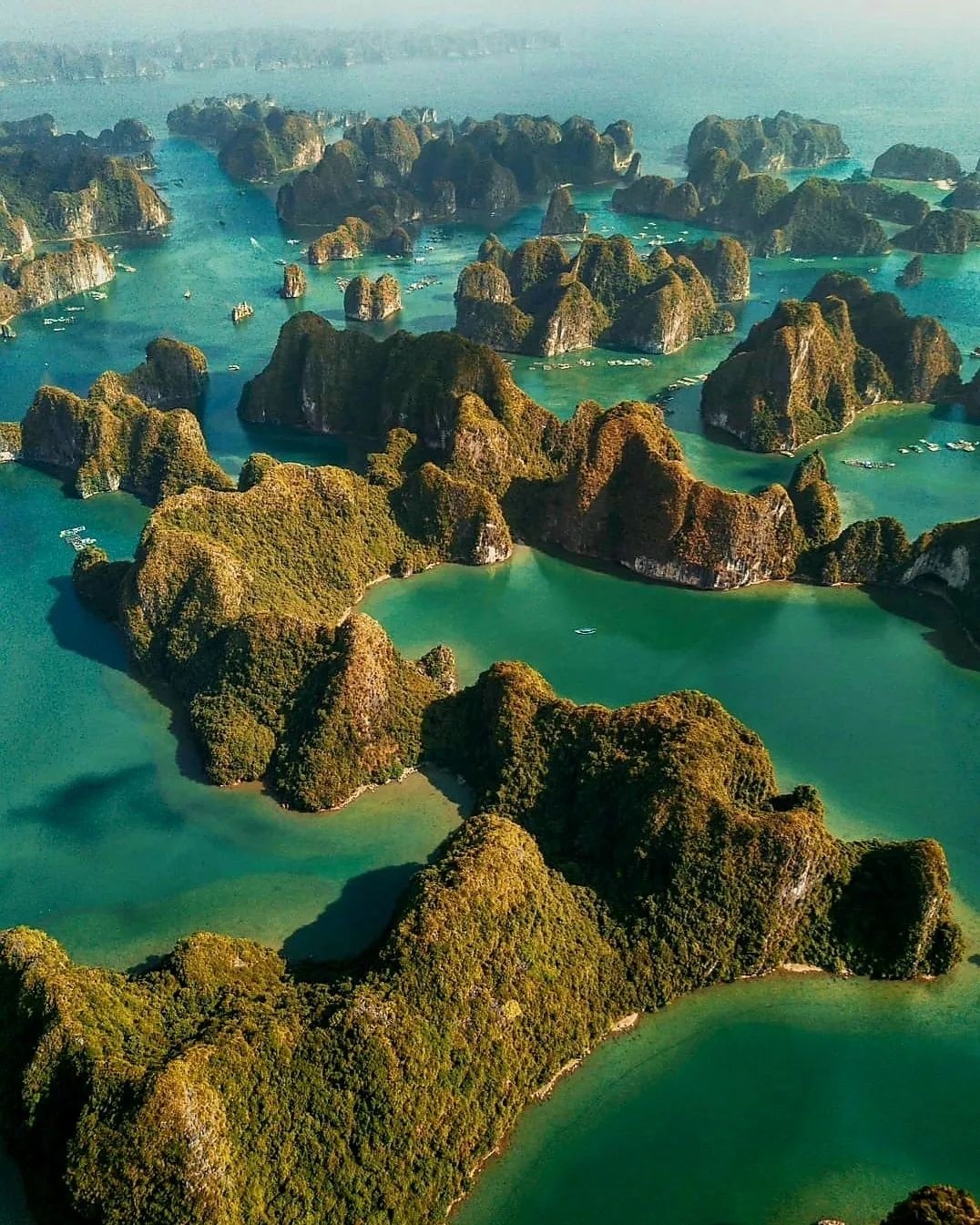 du lịch mice  ảnh 8 du lich mice anh 8