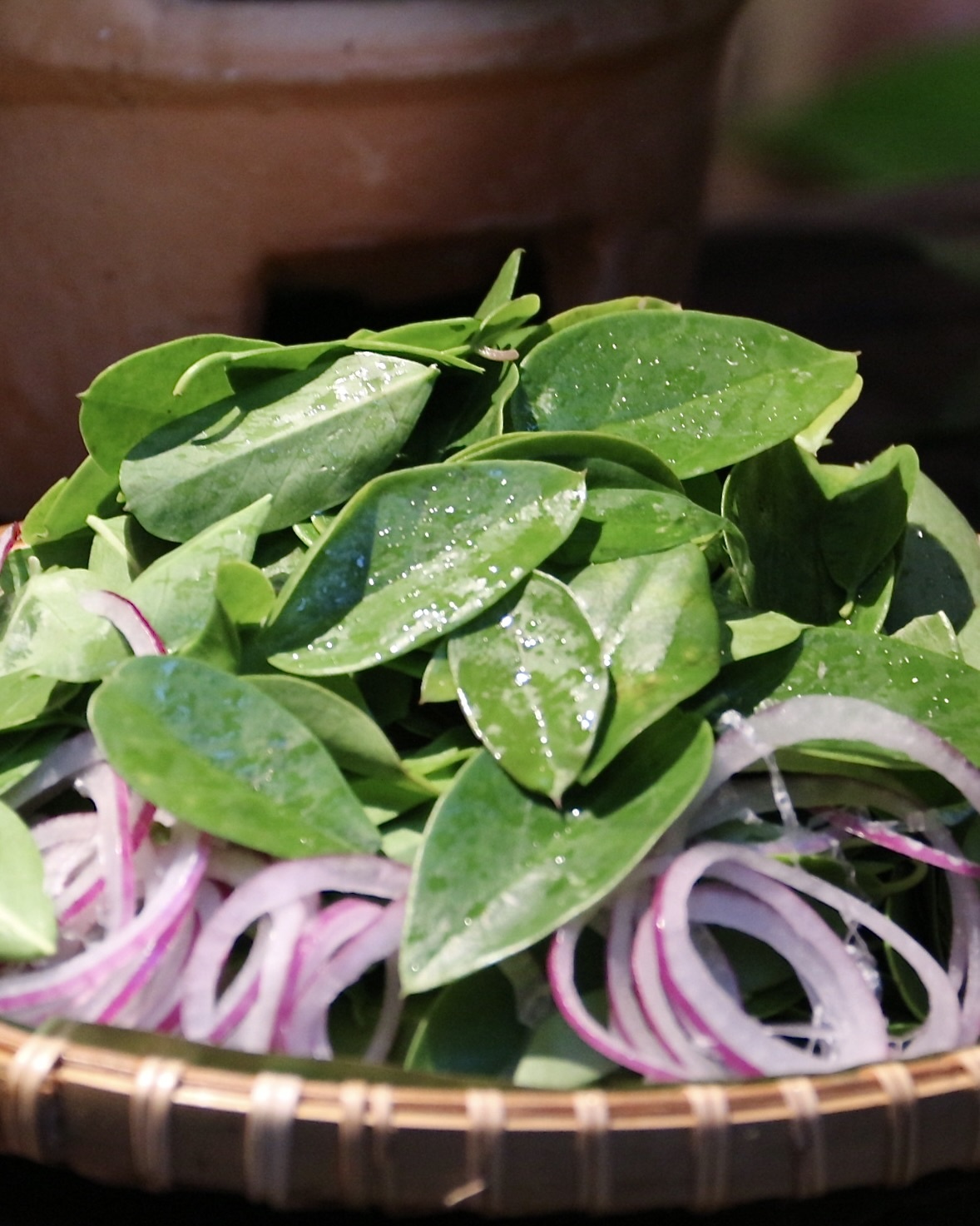 ẩm thực Cần Giờ ảnh 1 am thuc Can Gio anh 1