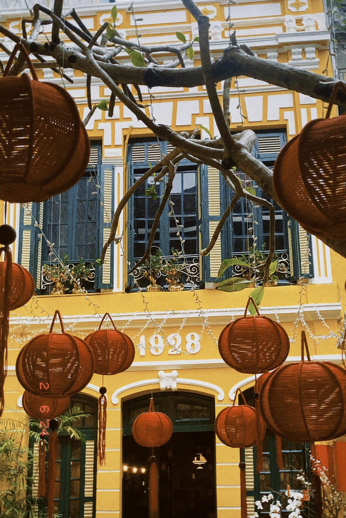 Tim Cook den Viet Nam anh 1