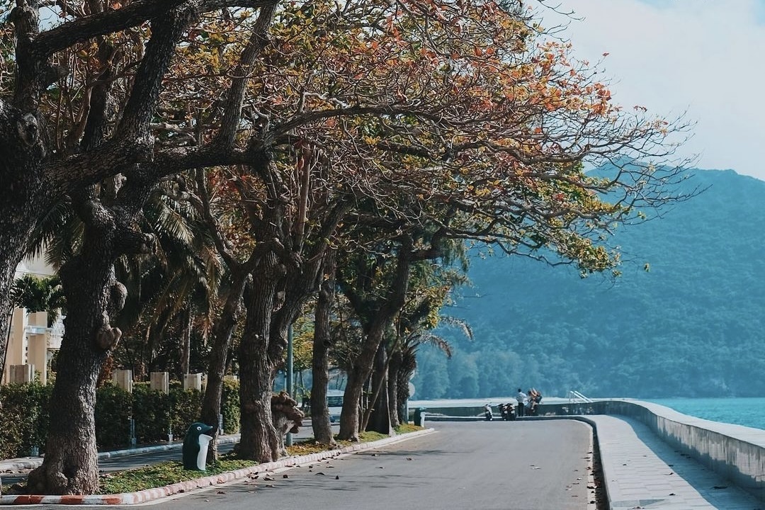 du lich Con Dao anh 5