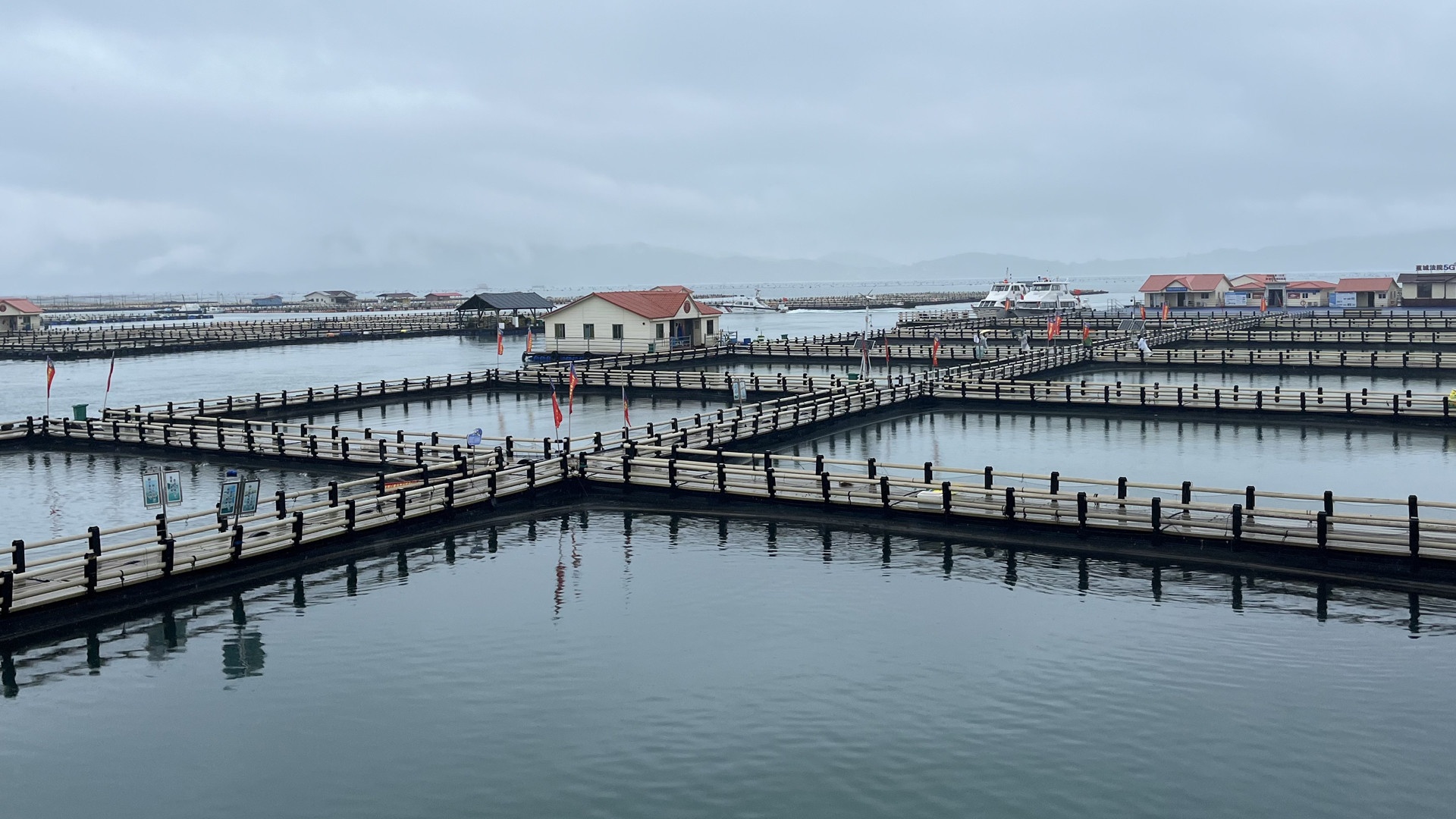 Vuon thu Trung Quoc anh 7