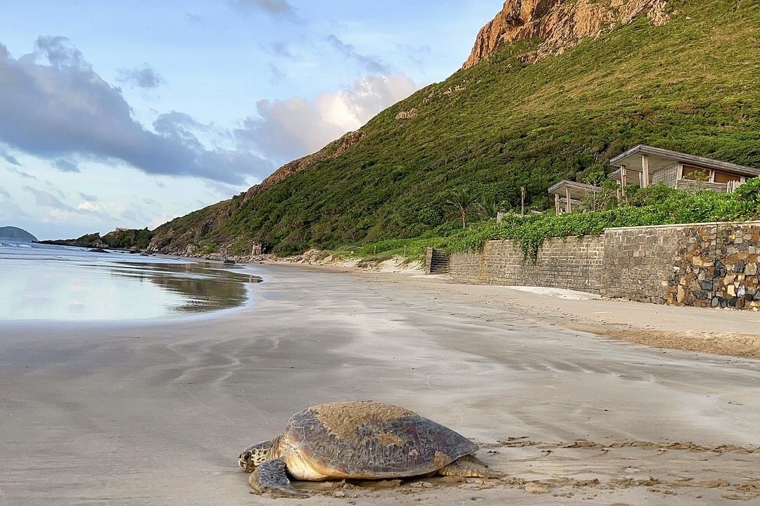 du lich Con Dao anh 9