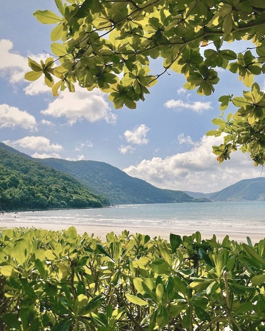 du lich Con Dao anh 12