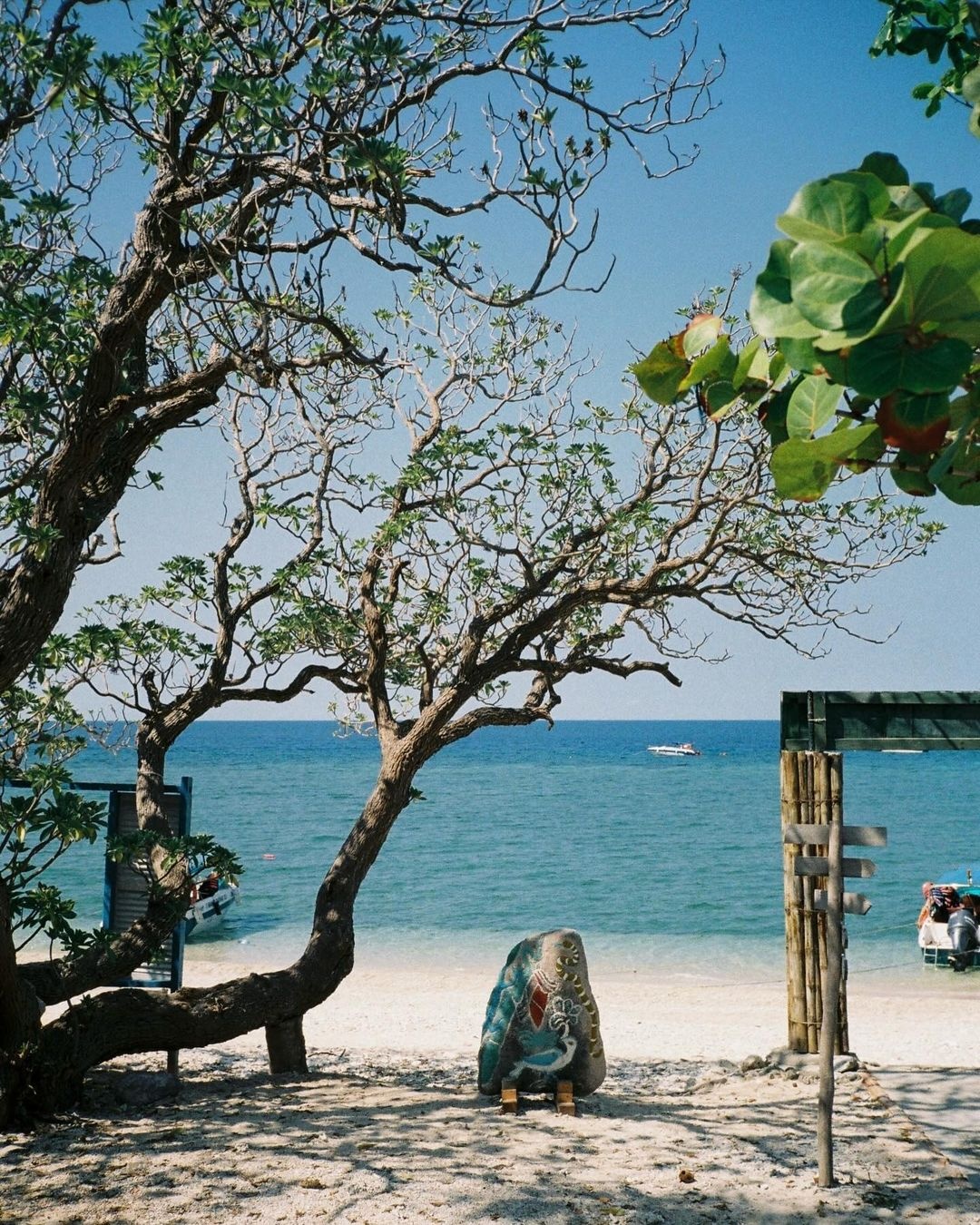 du lich Con Dao anh 2