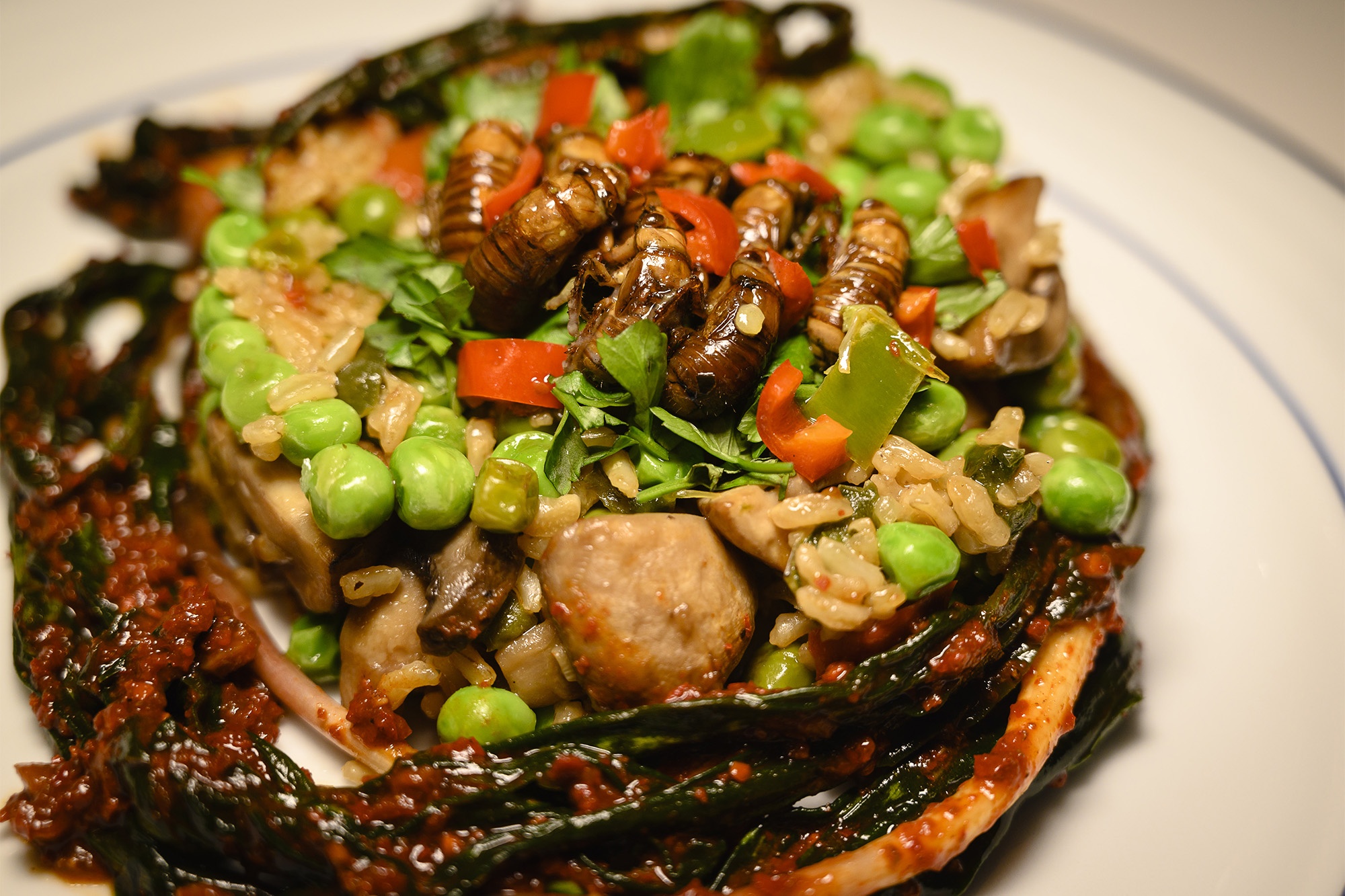 Ve sau thanh mon an do keu qua to tai My hinh anh