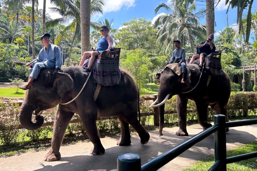 Tranh cai voi thich duoc cuoi tai Bali hinh anh