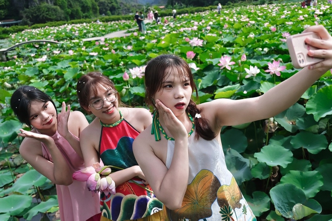 Tram nguoi do ve dam sen no ro o Ninh Binh, chu don khach met nghi hinh anh