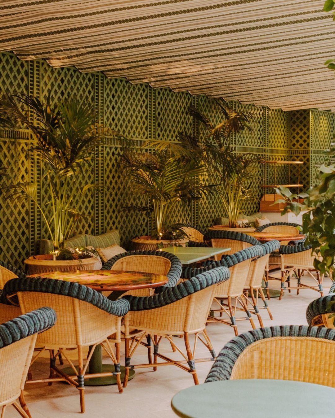 Michelin Guide Vietnam anh 6