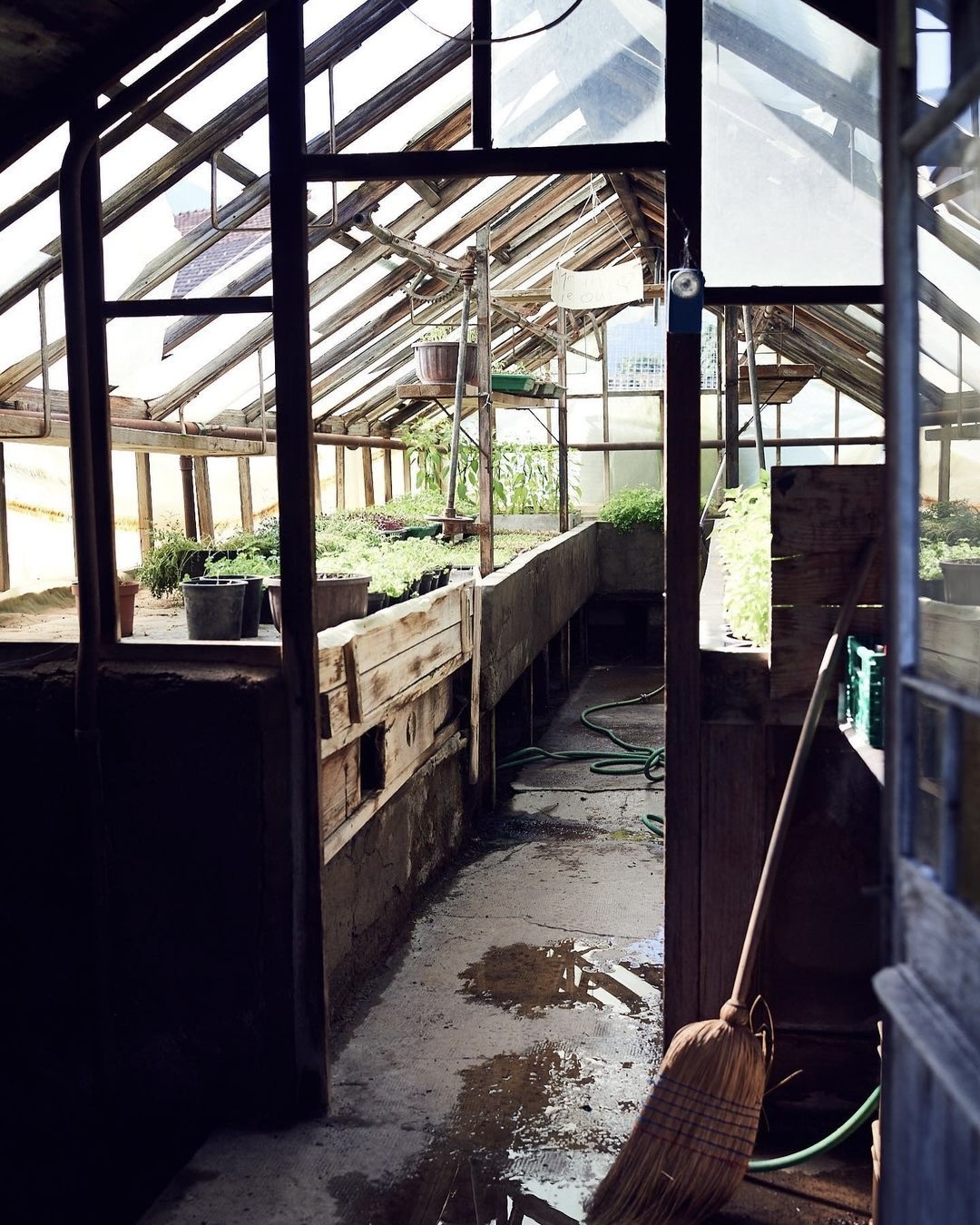 michelin guide ảnh 6 michelin guide anh 6