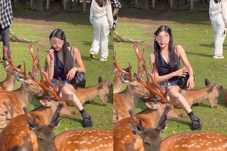 Buc anh chup cung nai gay tranh cai tai Nhat Ban hinh anh