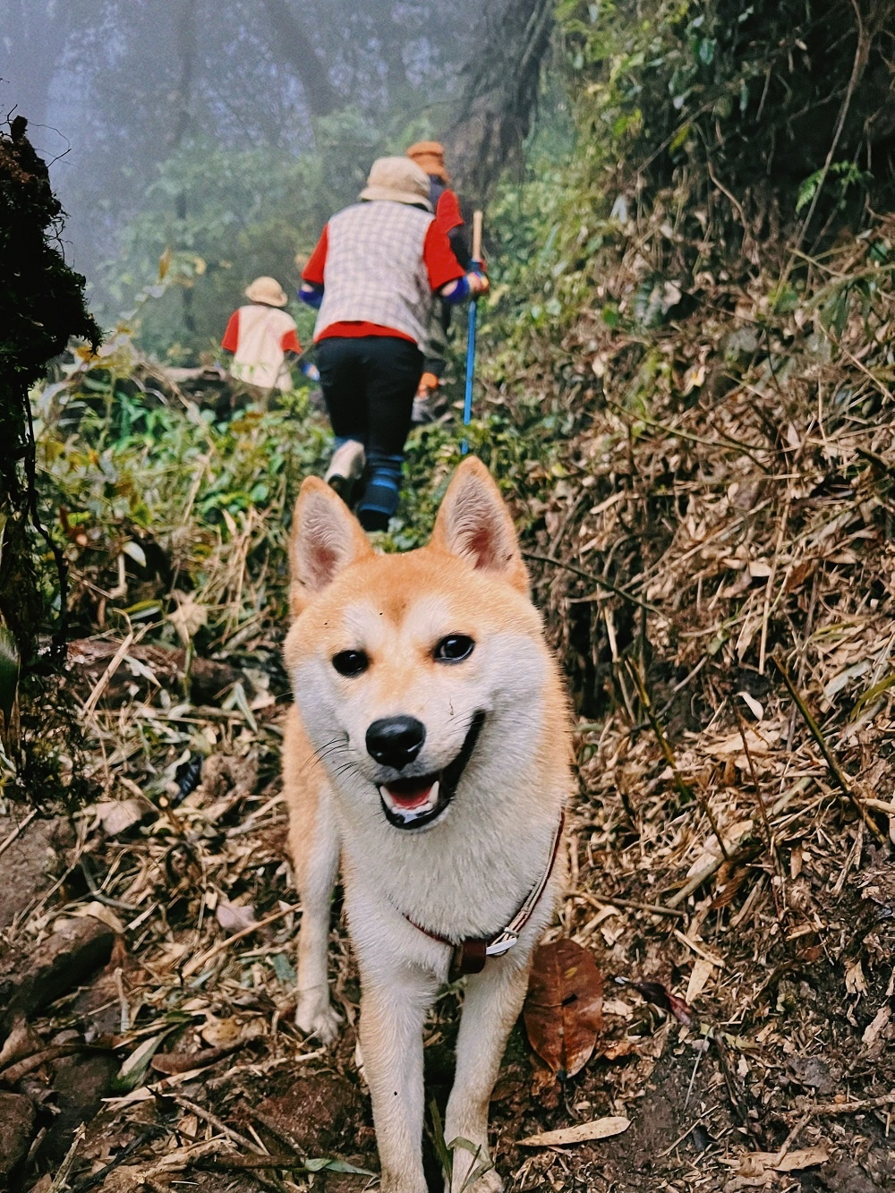 thu cung trekking anh 2