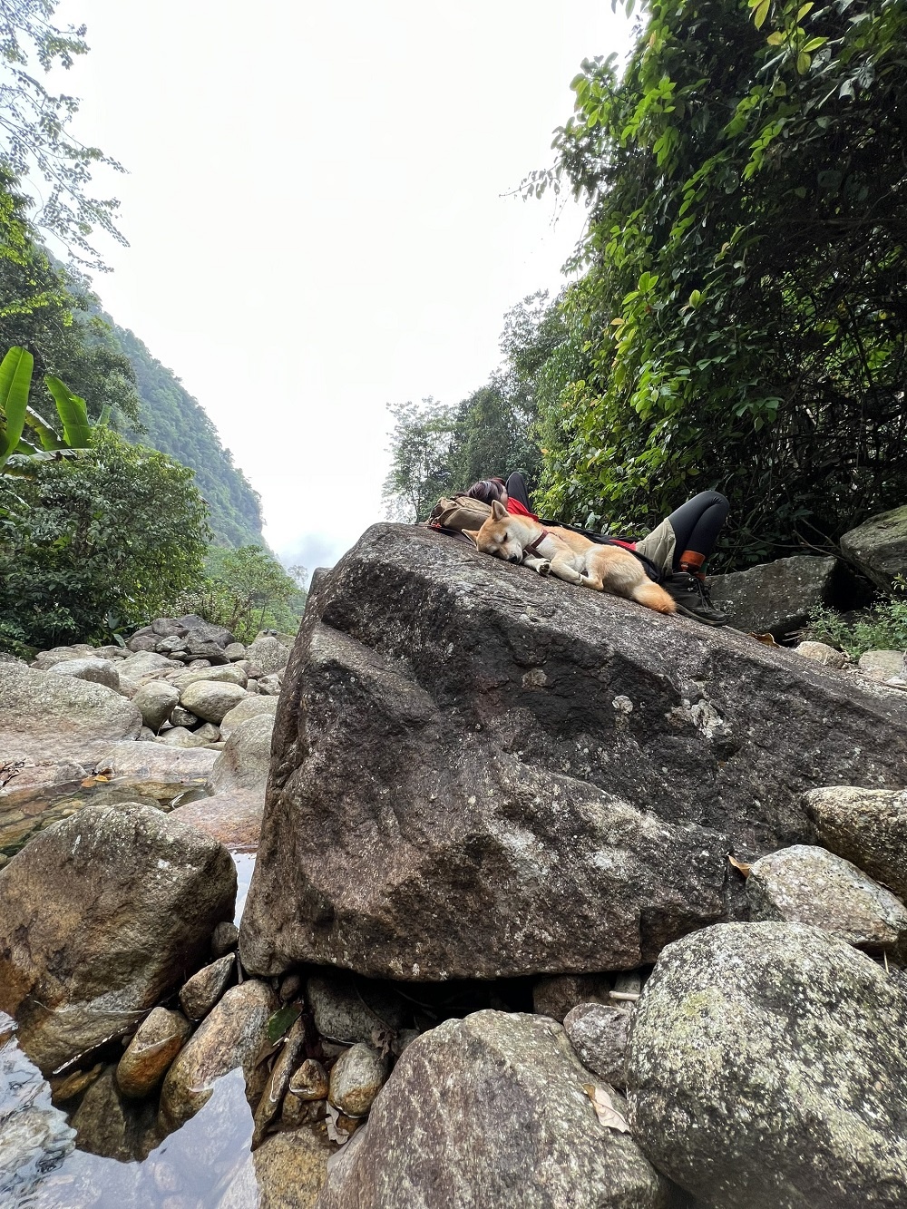 thu cung trekking anh 4