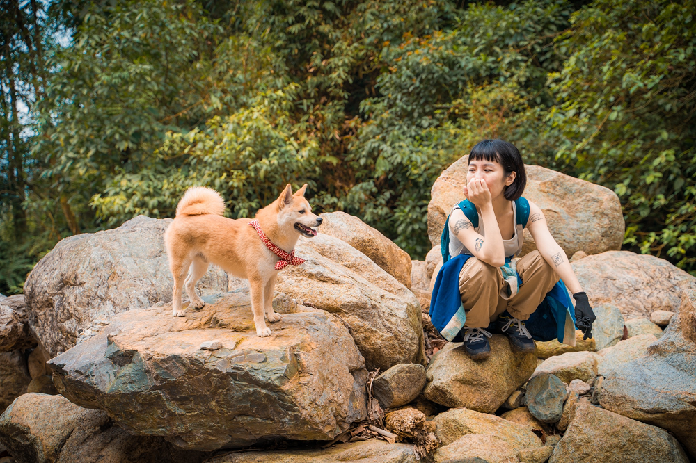 Toi dan cho cung trekking 7 ngon nui hinh anh