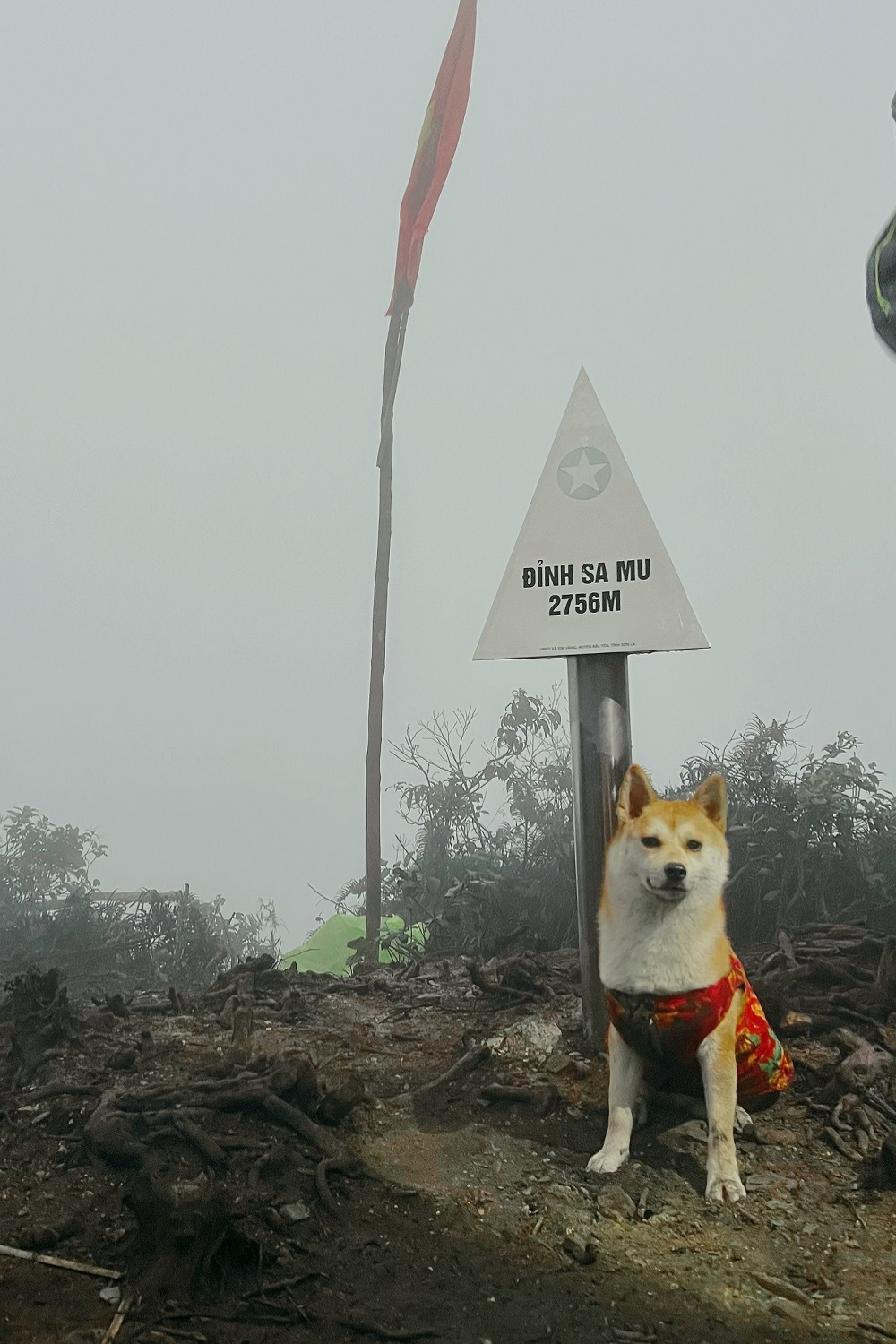 thu cung trekking anh 8