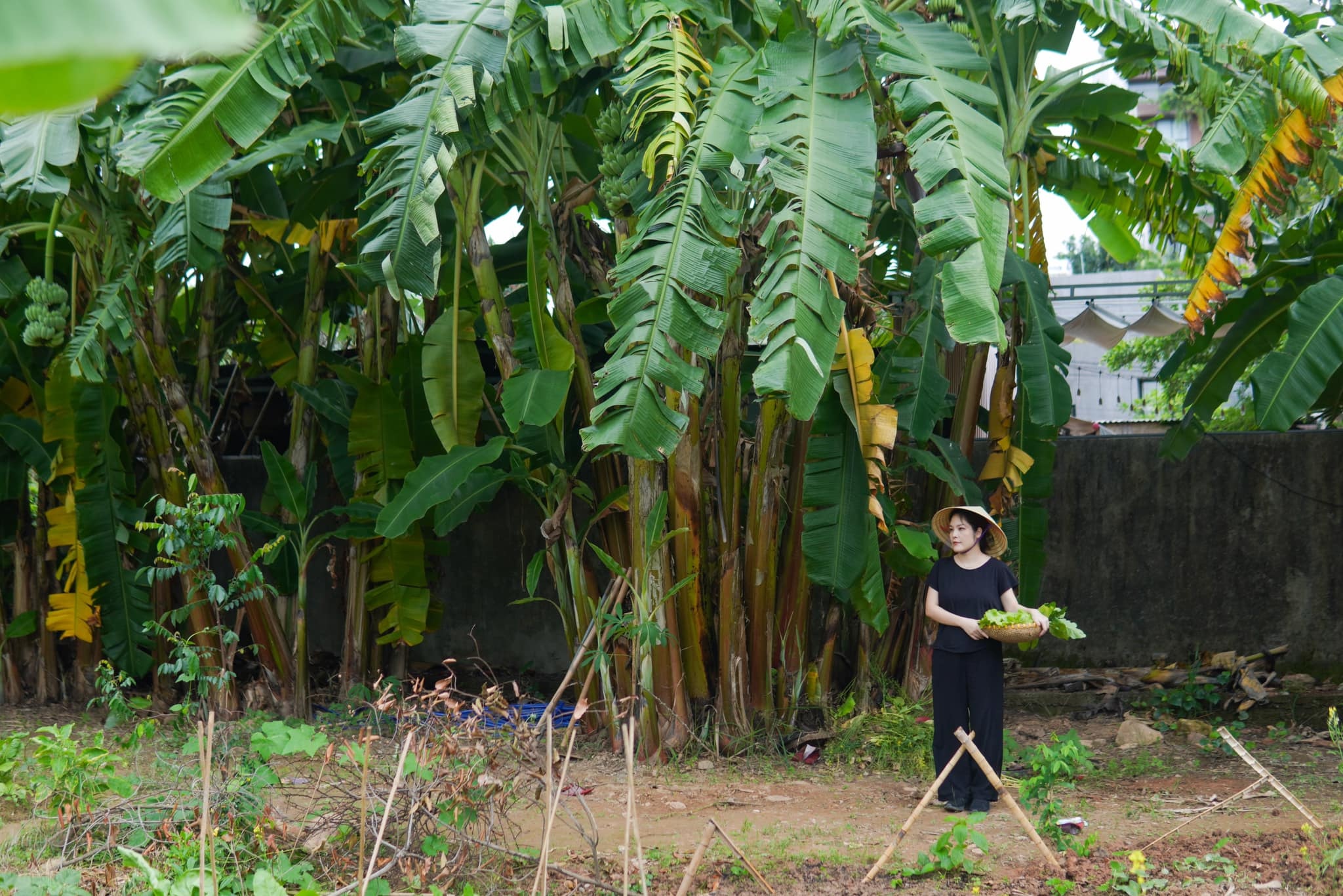 Michelin Guide 2024 ảnh 4 Michelin Guide 2024 anh 4