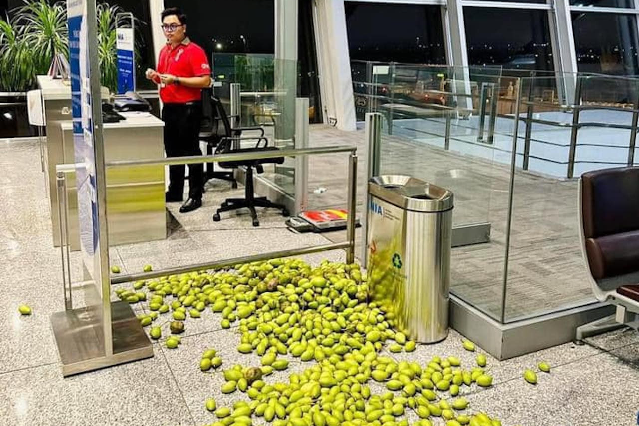 Khoang 10 kg xoai, coc roi day nha ga san bay Noi Bai hinh anh