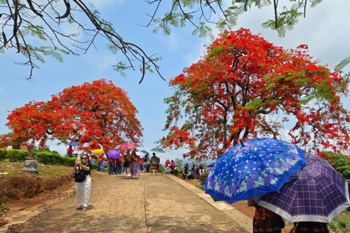 Diem du lich duoc tim kiem nhieu nhat Viet Nam hinh anh