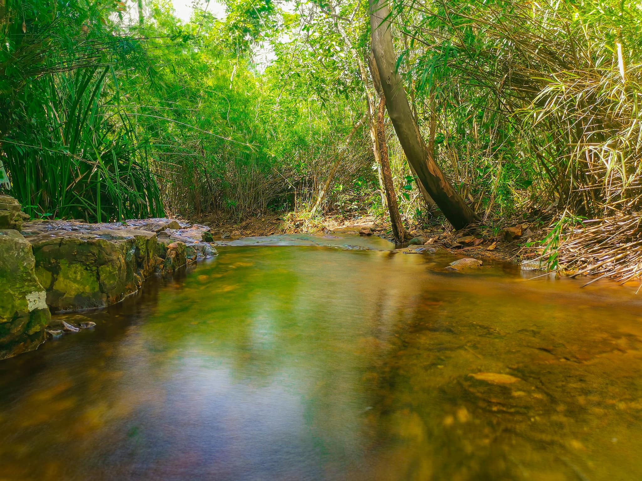 he di Binh Duong anh 10