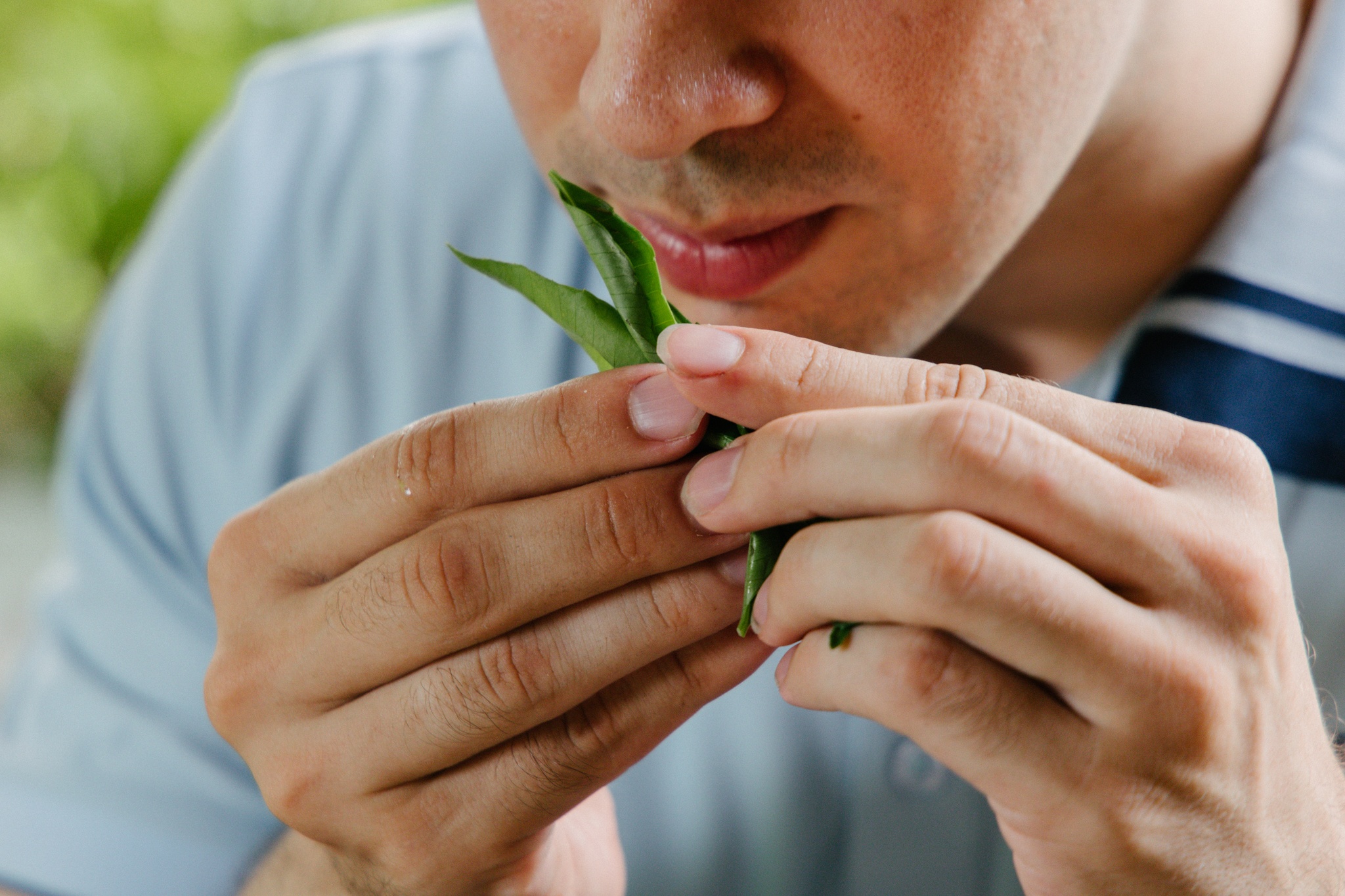 ẩm thực Michelin ảnh 17 am thuc Michelin anh 17