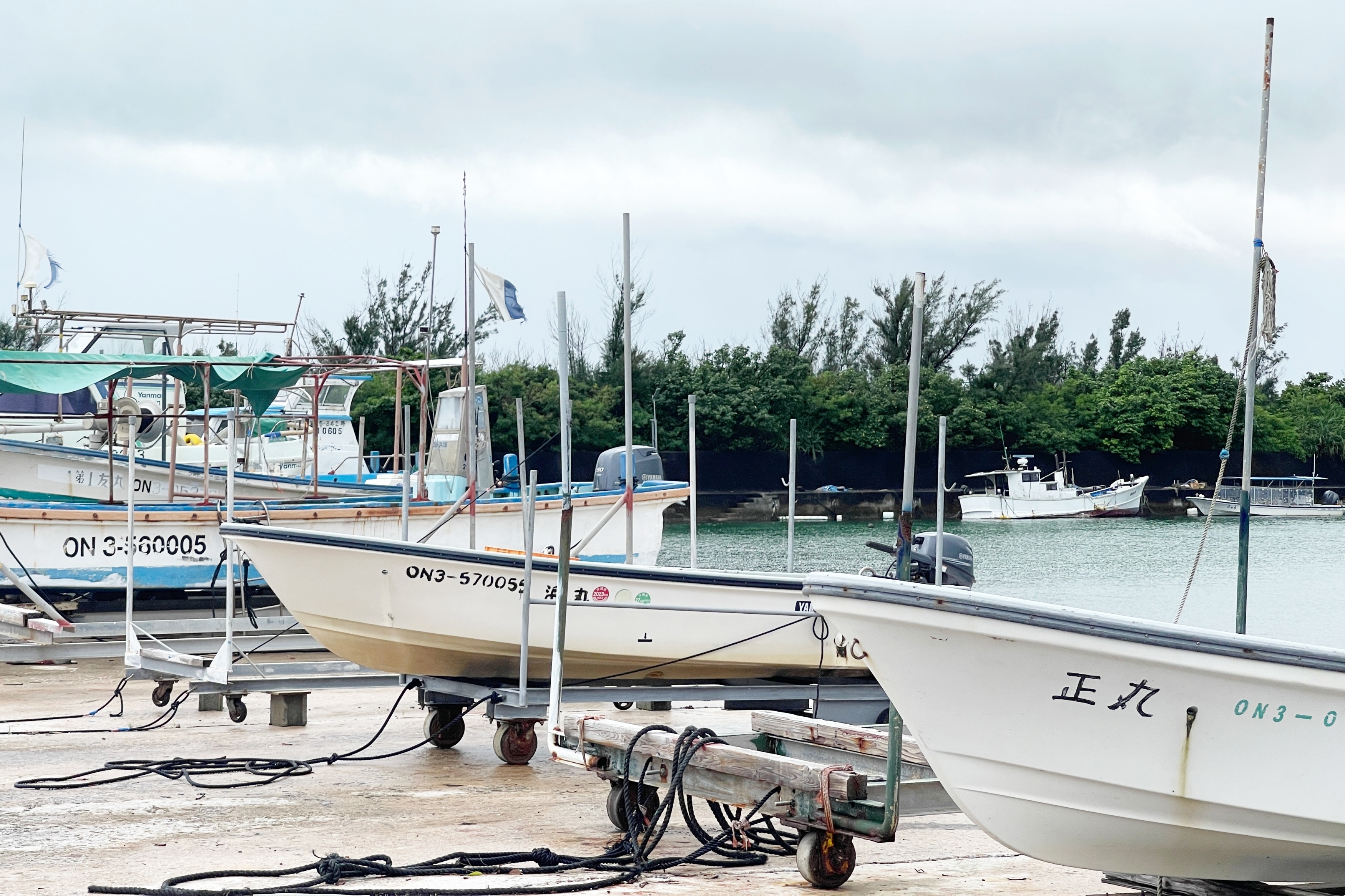 Noi yen binh giua 'bao du khach' o Nhat Ban hinh anh