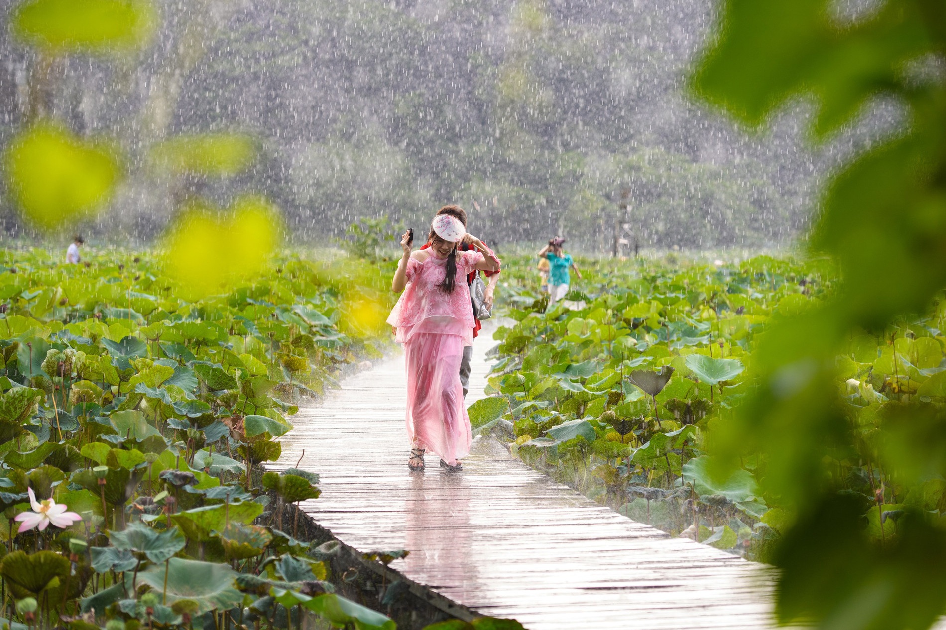 'Nang tho' bo chay vi mua lon o Hang Mua hinh anh