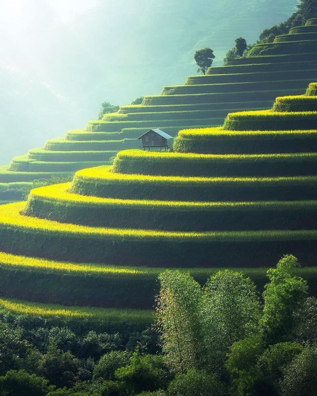 Mu Cang Chai anh 2