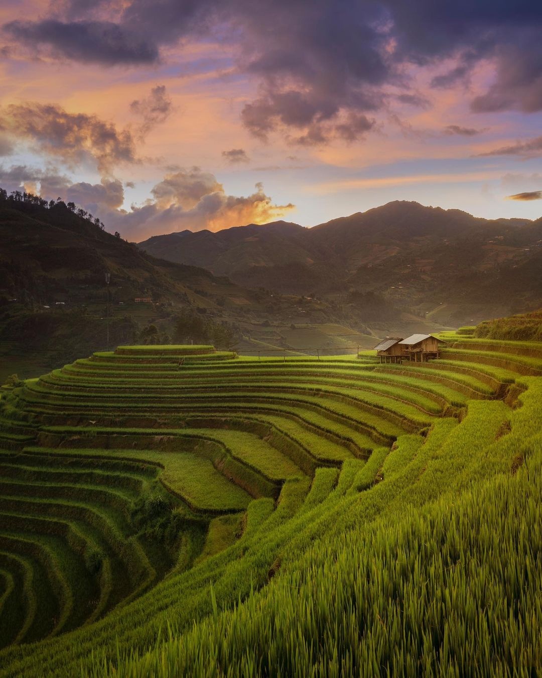 Mu Cang Chai anh 1