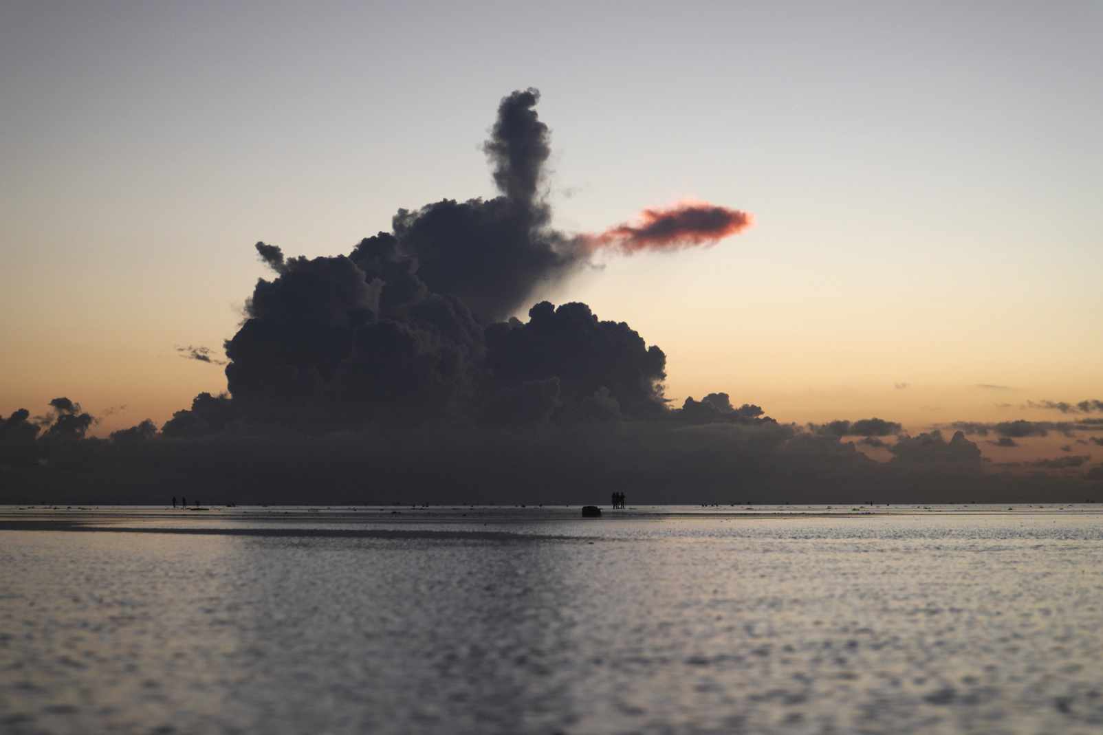 San duoc canh may 'ca chep hoa rong' o bien vo cuc Thai Binh hinh anh