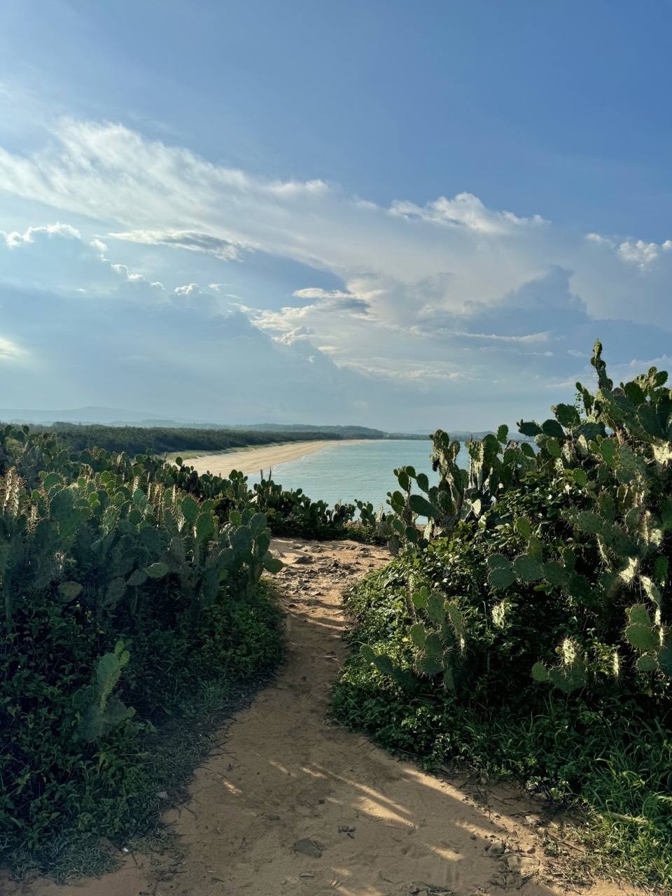 du lịch trong nước ảnh 2 du lich trong nuoc anh 2