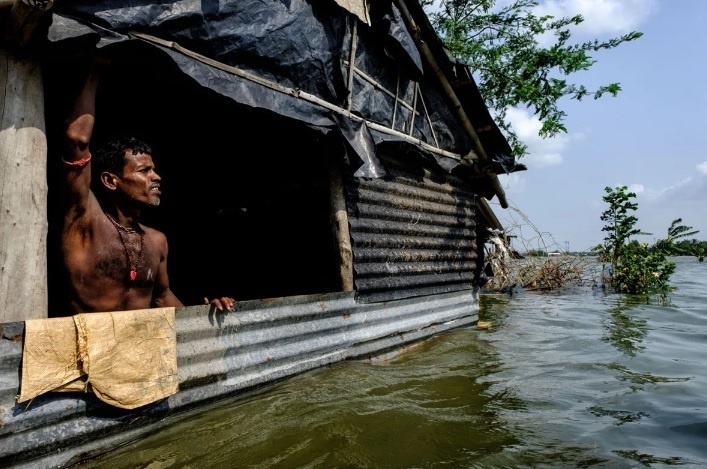 rung ngap man anh 11