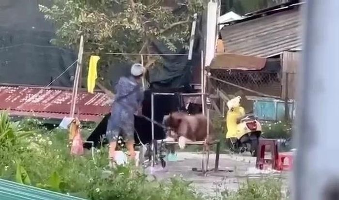 Cham dut loi dung vat nuoi de kinh doanh, chup anh tai Da Lat hinh anh