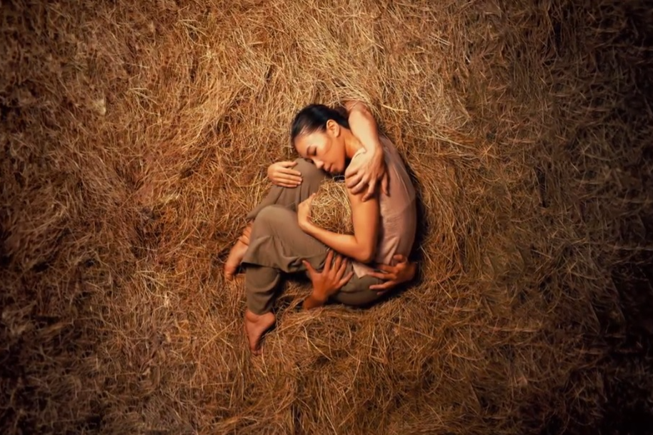 Cho canh mua dep nao long giua canh dong lua chin o Hoi An hinh anh