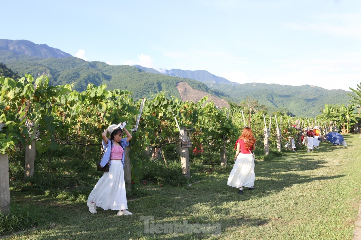 Da Nang anh 5