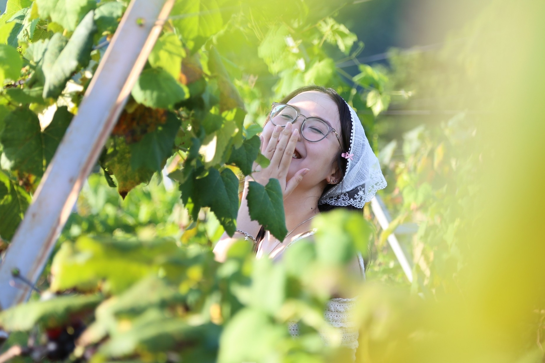 Do xo bo pho ve nui Da Nang de 'chua lanh' dip le hinh anh