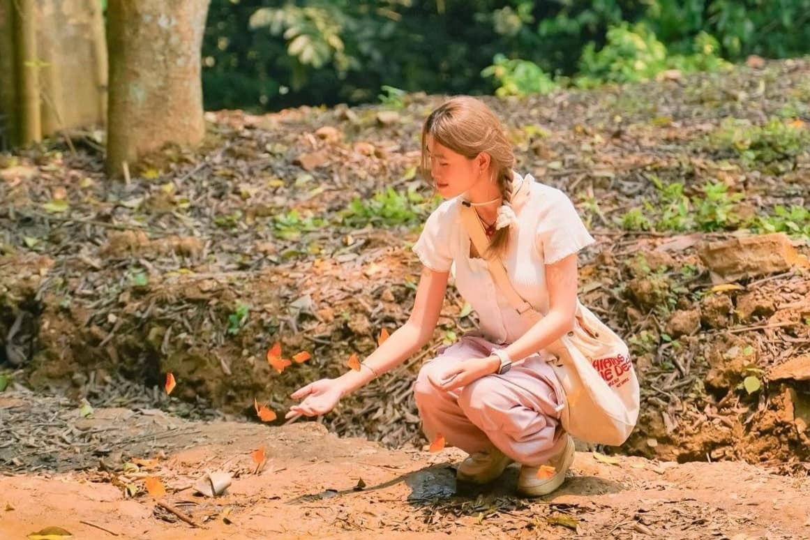 VQG Cuc Phuong lai hang dau chau A hinh anh