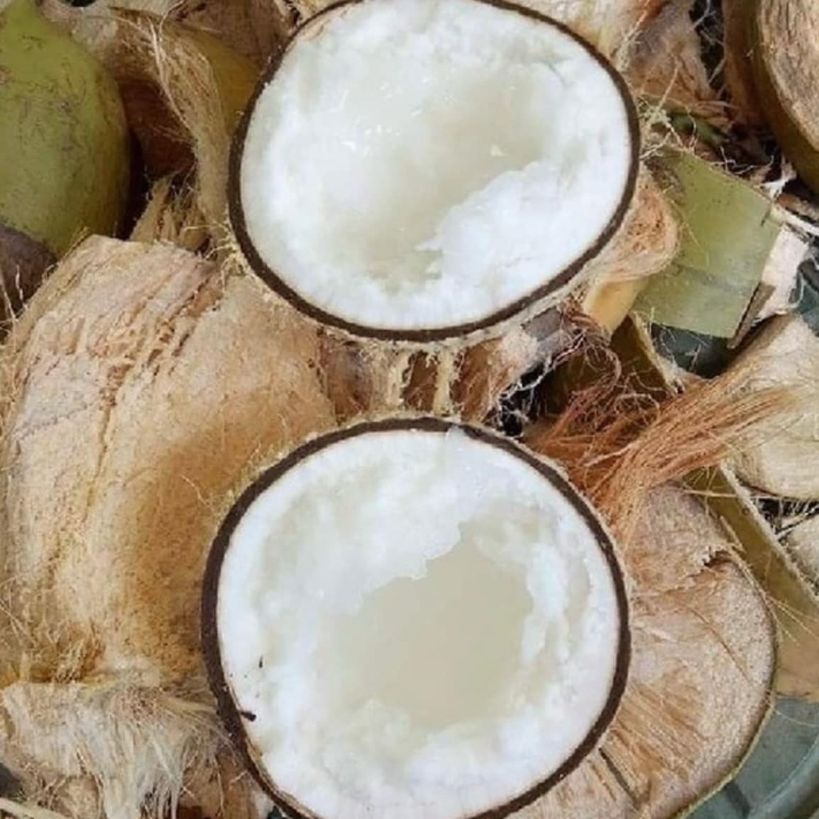 kẹo dừa ảnh 1 keo dua anh 1