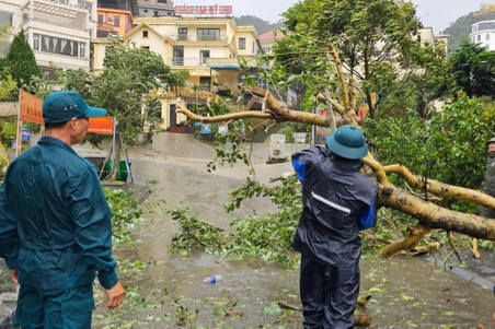 Ngung don khach den khu du lich Tam Dao sau bao so 3 hinh anh