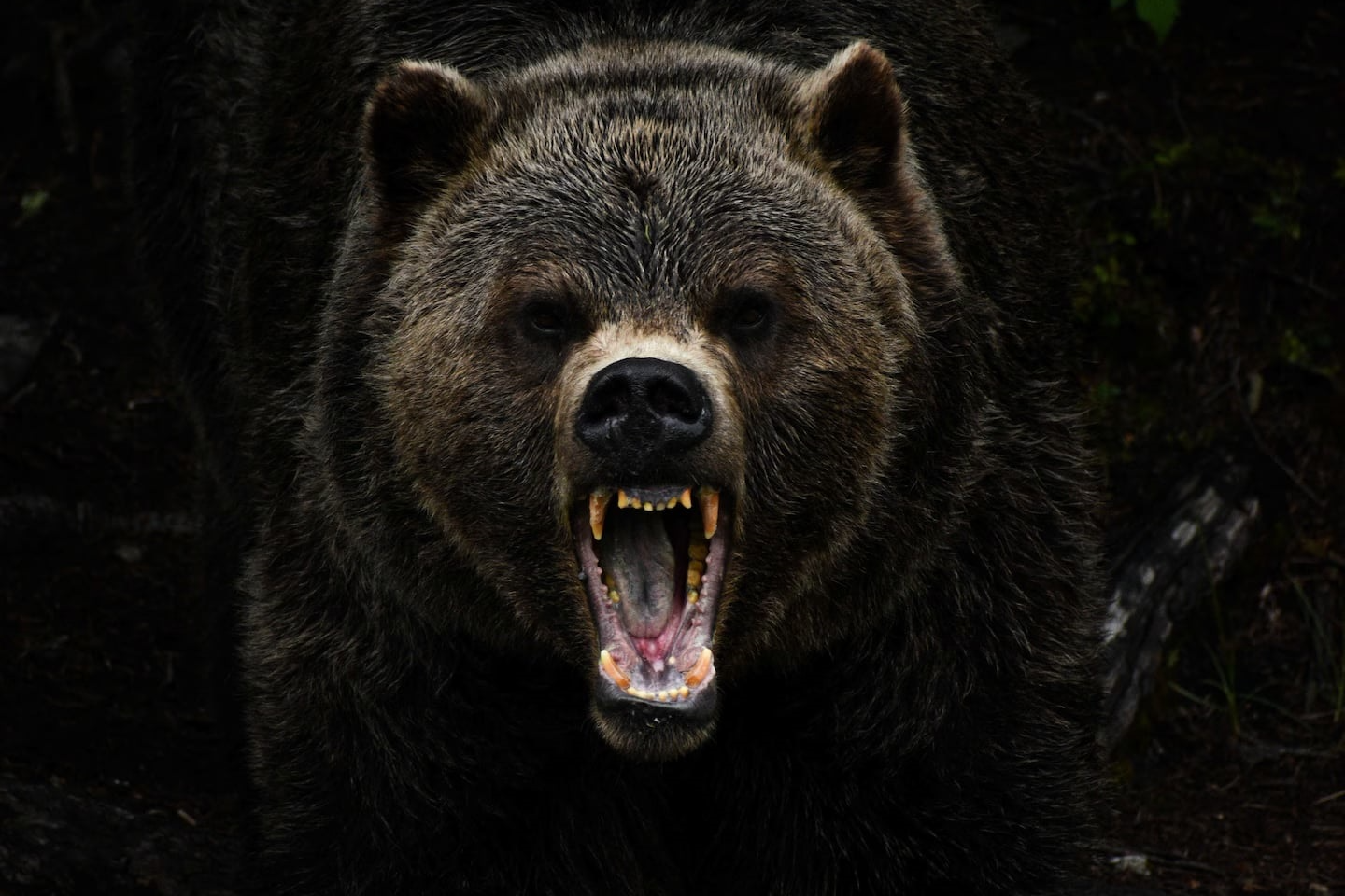 Canh kinh ngac khi con nguoi du lich khap hanh tinh hinh anh