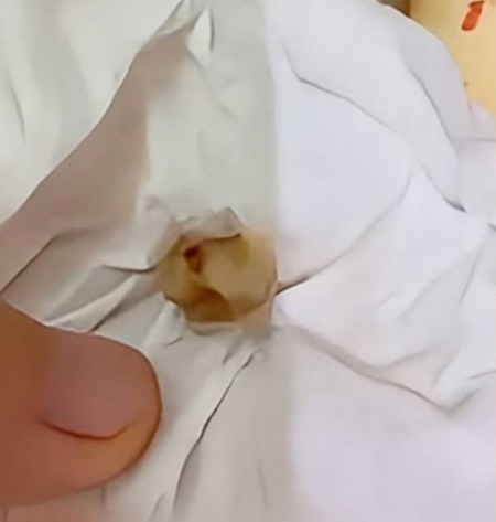 Bánh trung thu ảnh 1 Banh trung thu anh 1