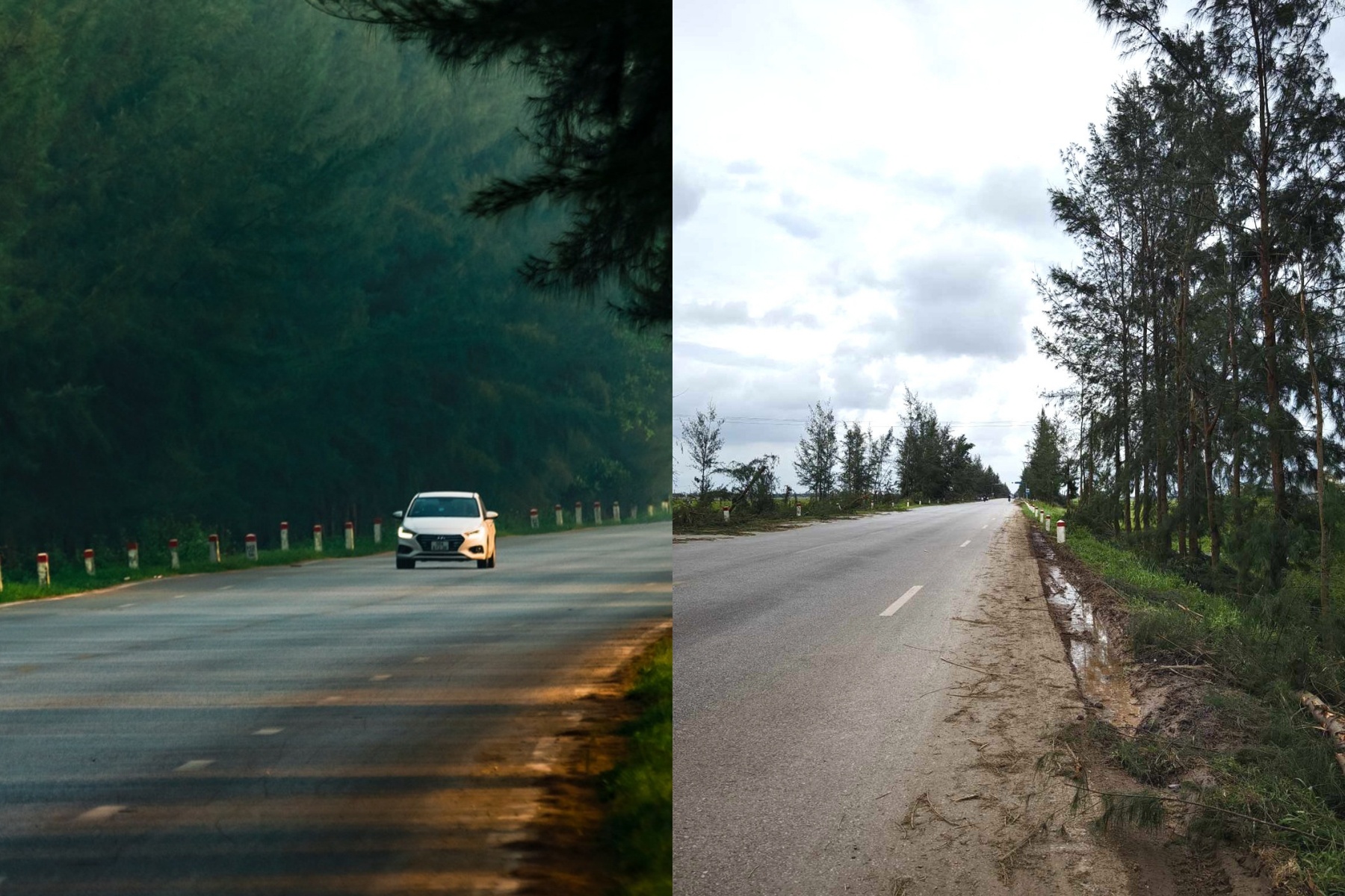 Tiec ngan ngo cung duong 'Da Lat thu nho' o Hai Duong sau bao hinh anh
