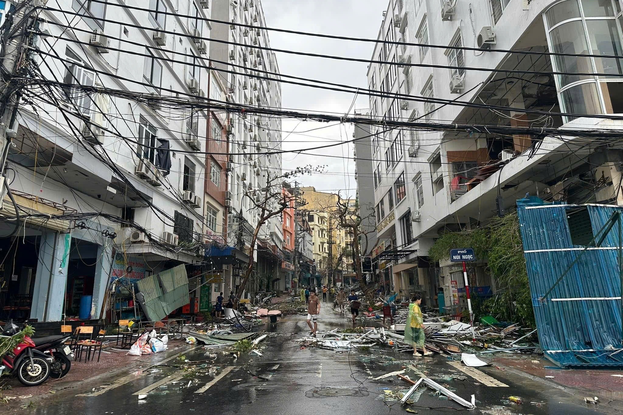 bao Yagi mien Bac anh 8